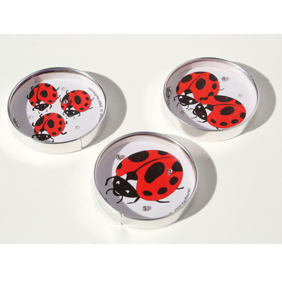 Tålamodsspelet Nyckelpiga (bild för) Tålamodsspelet Nyckelpiga